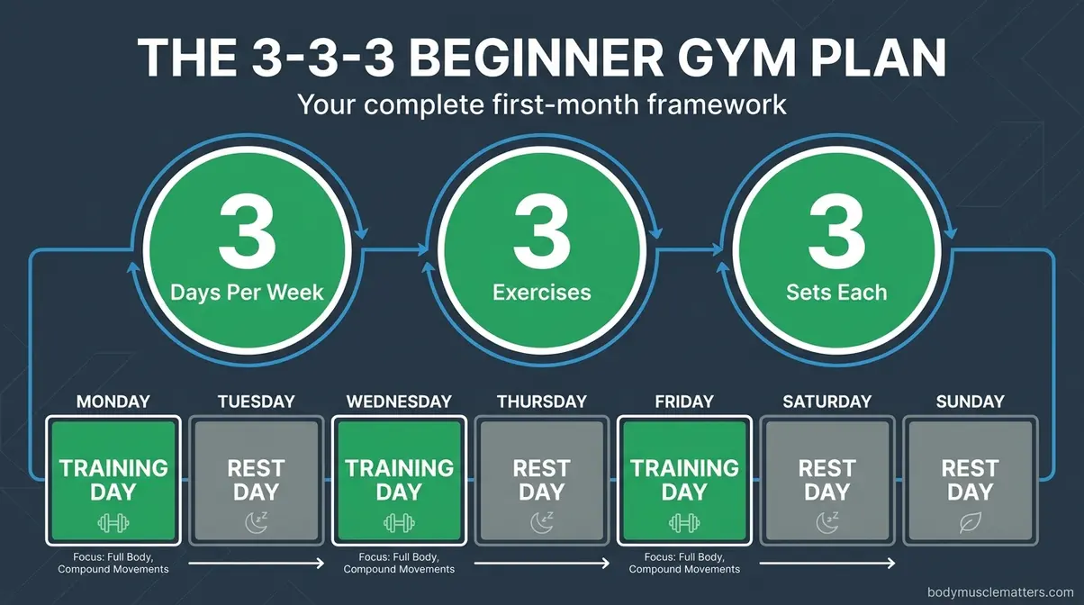 3-3-3 beginner gym plan infographic showing three days per week workout schedule