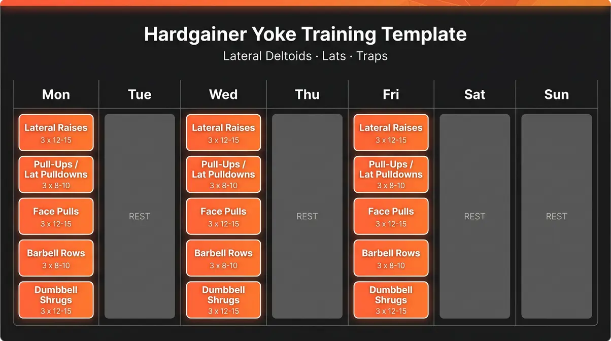 Weekly workout training template for skinny hardgainers focusing on Yoke muscles to look bigger