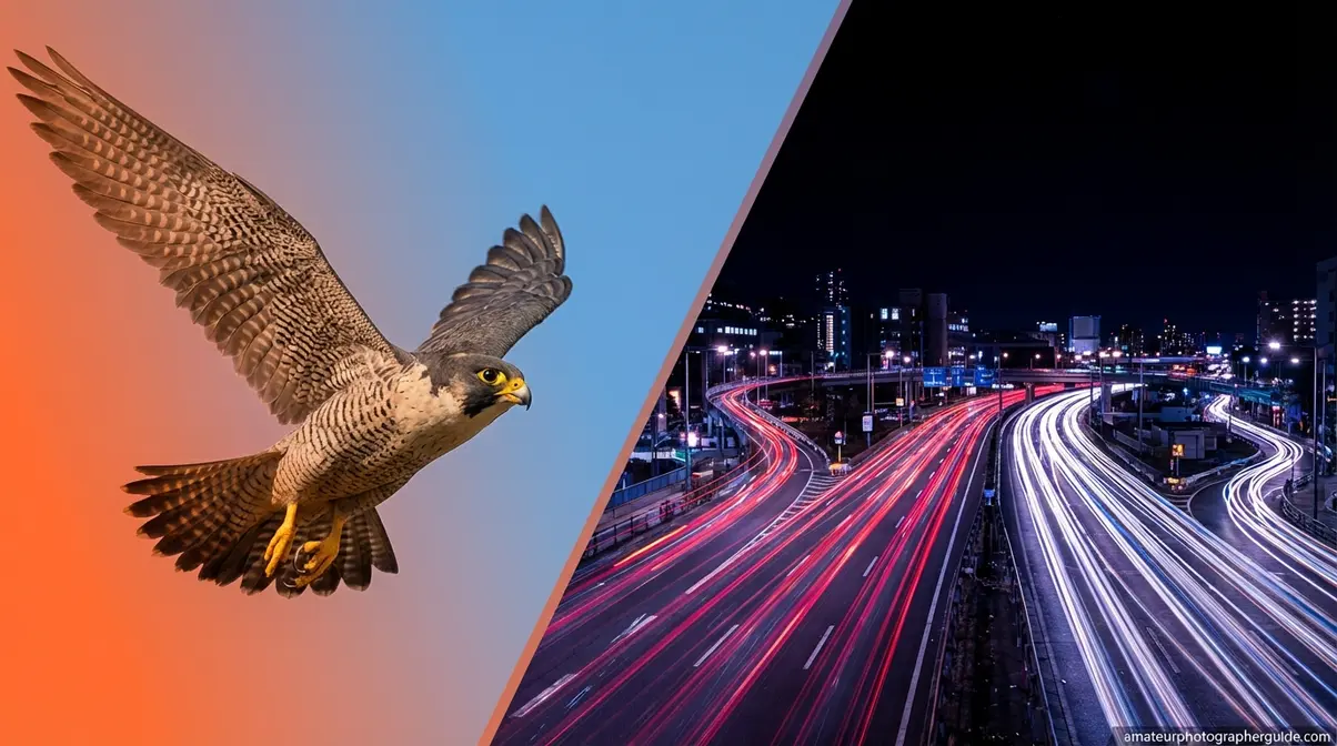 Split image showing frozen bird in flight and night traffic light trails as advanced motion photography challenges