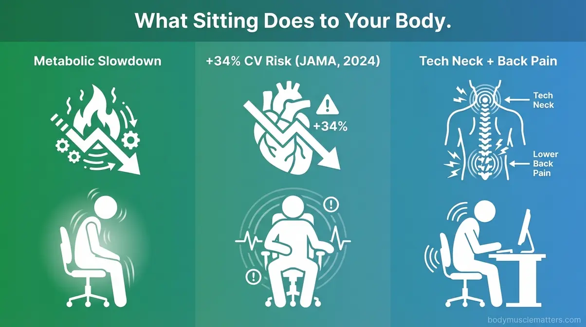 Illustration showing three health risks of desk jobs — metabolic slowdown, cardiovascular risk, and musculoskeletal pain from prolonged sitting