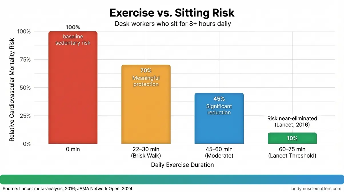 Bar chart showing how daily exercise minutes reduce cardiovascular mortality risk for desk workers who sit more than eight hours daily