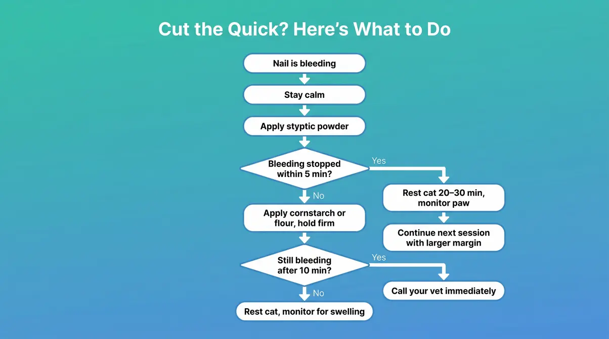 Flowchart showing step-by-step actions to take if you accidentally cut a cat's quick and cause nail bleeding
