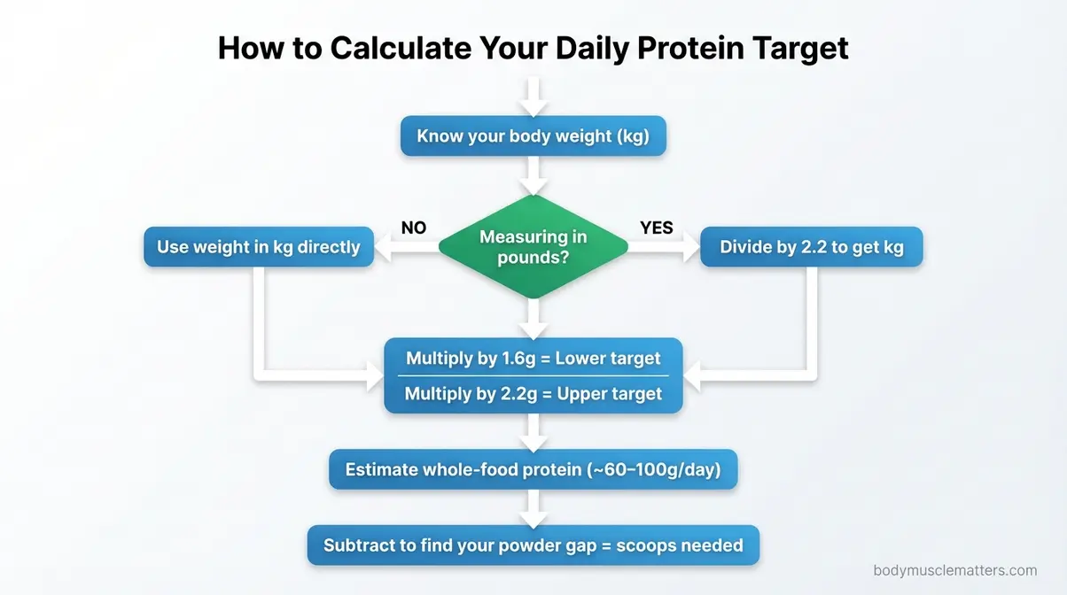 Flowchart showing how to calculate daily protein target for muscle building using body weight in kilograms