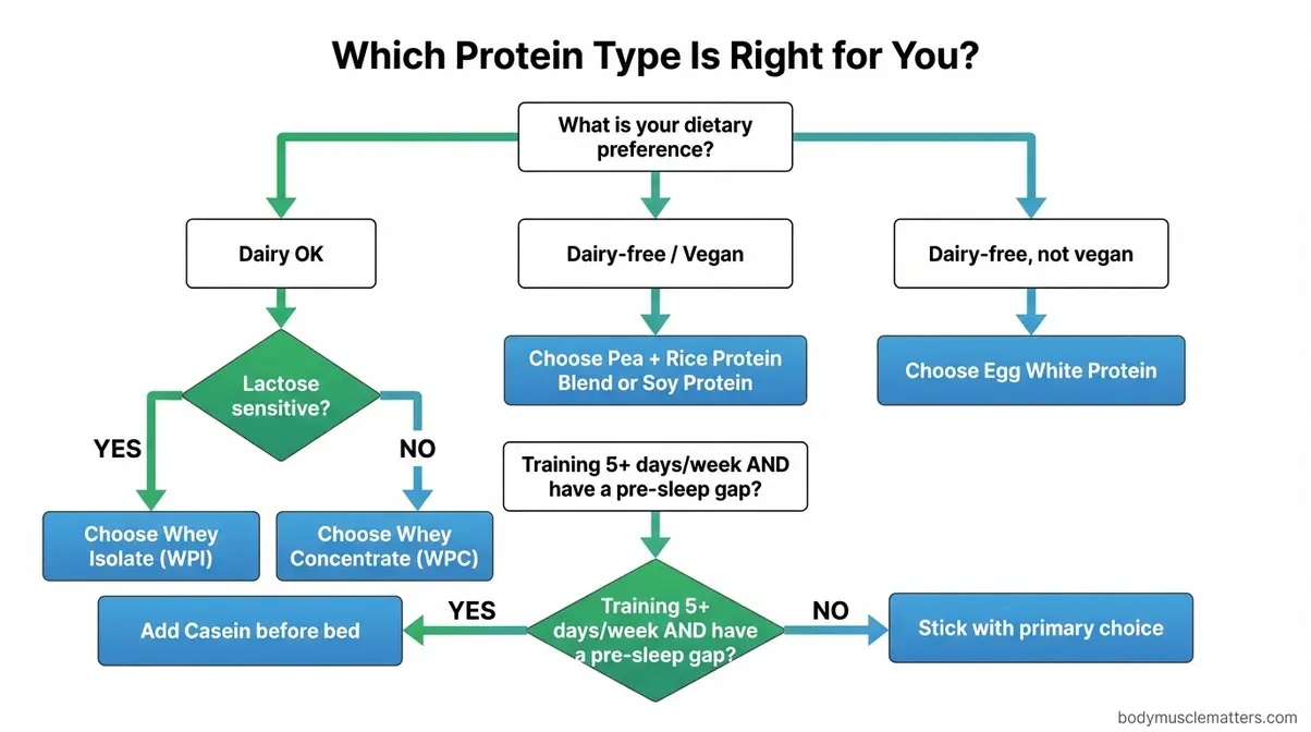 Decision flowchart helping beginners choose between whey, casein, and plant-based protein powder for muscle building