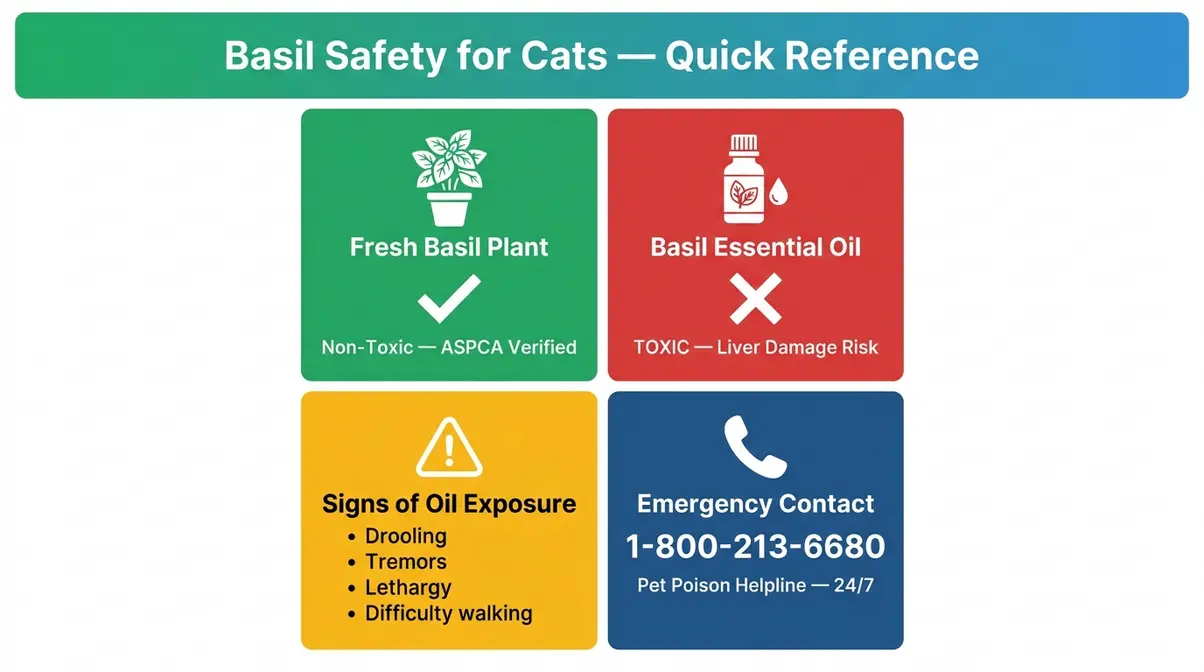 Is basil safe for cats — quick reference infographic showing safe plant vs. toxic essential oil with emergency contact information