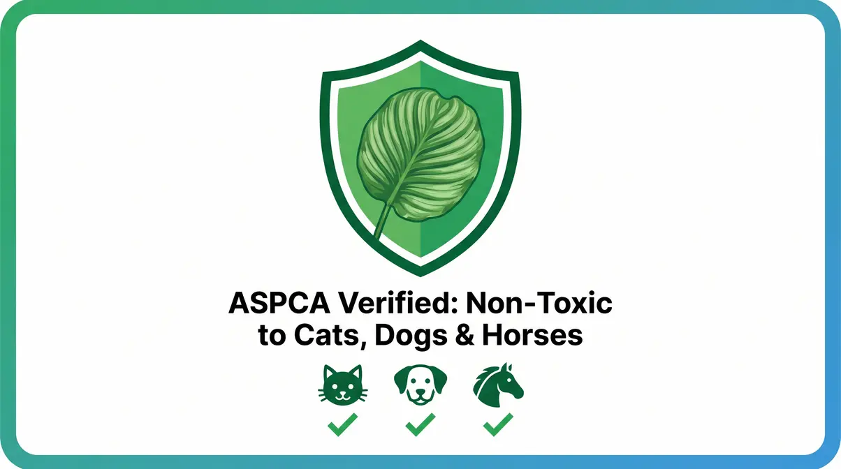 ASPCA-verified non-toxic badge confirming calathea is safe for cats, dogs, and horses