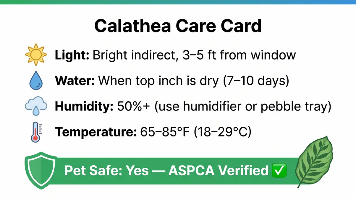 Calathea care card showing pet-safe status and key care requirements for keeping calathea healthy with cats