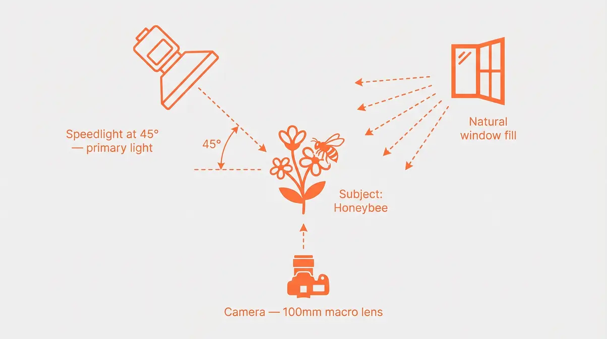 Top-down diagram showing camera position, speedlight at 45 degrees, and honeybee subject on flower for macro photography lighting setup