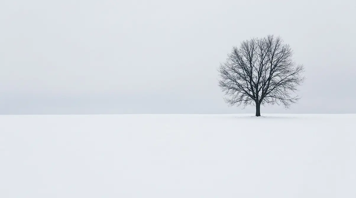 Minimalist landscape photography example showing a lone tree against a white winter sky