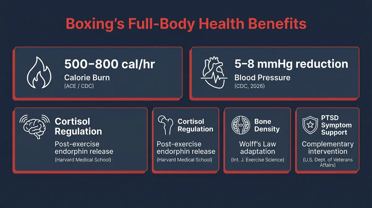 Infographic showing five boxing health benefits including calorie burn, blood pressure, cortisol, bone density, and PTSD support
