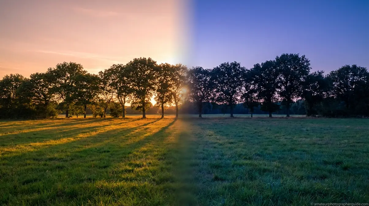 Side-by-side comparison of golden hour warm amber light and blue hour cool indigo light over the same meadow treeline