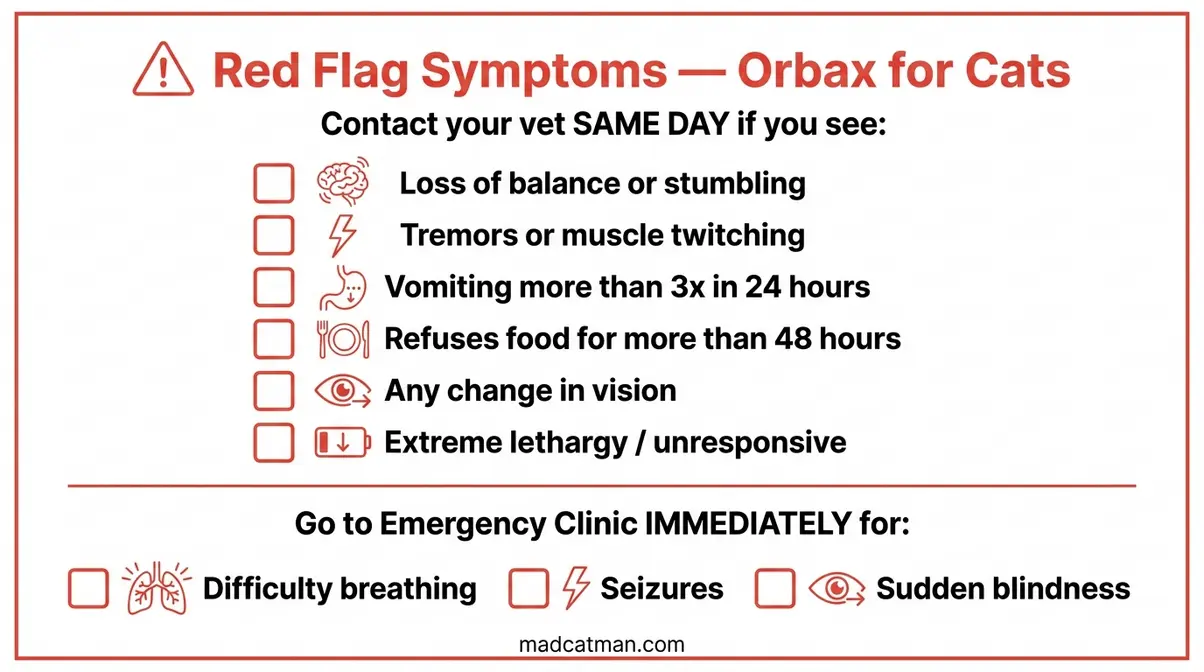 Red flag symptoms checklist for cats on Orbax showing when to call vet and when to go to emergency clinic