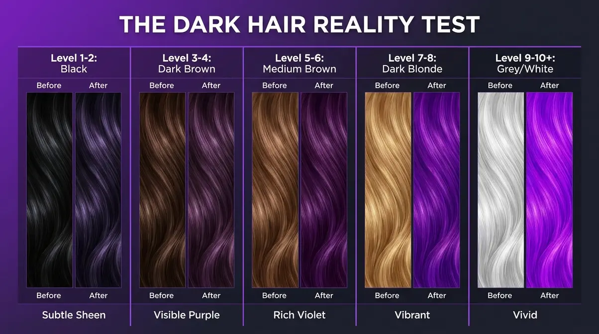 Purple hair dye before and after results on five hair colors from black to grey in the Dark Hair Reality Test