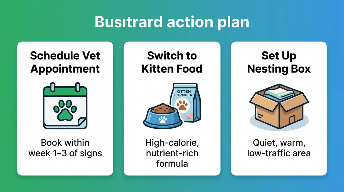 Three-step action plan illustration for caring for a suspected pregnant cat at home