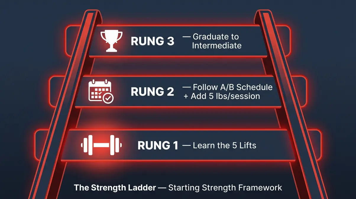 Starting Strength program for beginners strength ladder framework showing three progression stages