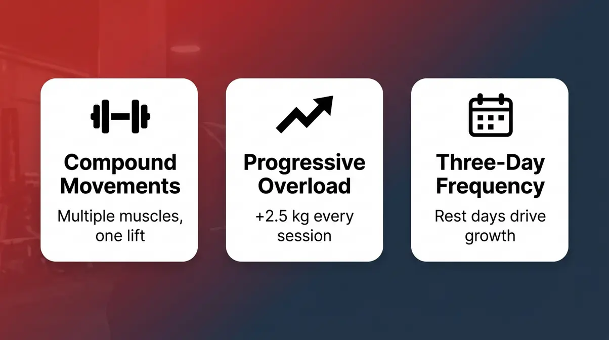 Three core principles of StrongLifts 5x5 — compound movements, progressive overload, three-day frequency