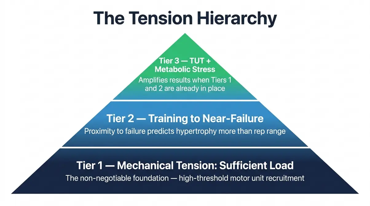 The Tension Hierarchy pyramid showing mechanical tension at the base, training to near-failure in the middle, and time under tension at the top for muscle growth