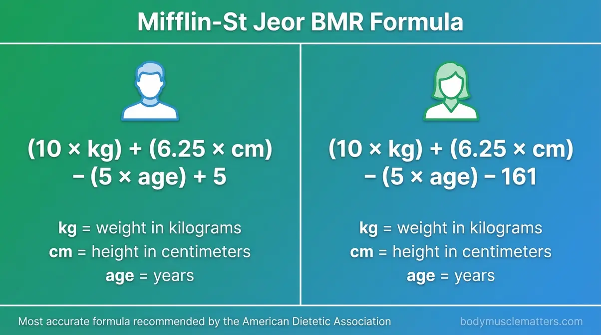 Visual infographic showing the Mifflin-St Jeor basal metabolic rate formula side by side for men and women with labeled input variables