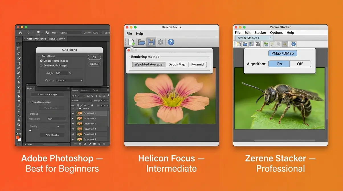 Focus stacking software overview showing Photoshop Helicon Focus and Zerene Stacker application windows