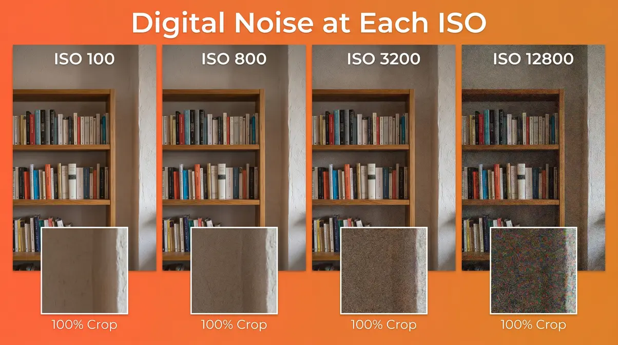 Digital noise comparison ISO 100 vs 800 vs 3200 vs 12800 photography grain texture crop insets