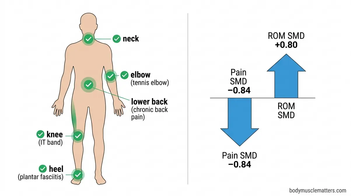 Muscle scraping IASTM clinical benefits illustration showing pain reduction and range of motion improvement outcomes