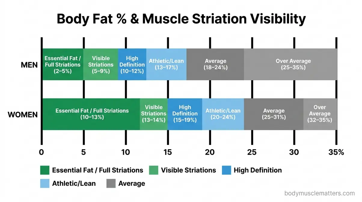 Body fat percentage chart showing muscle striation visibility thresholds for men at three to nine percent and women at ten to fourteen percent