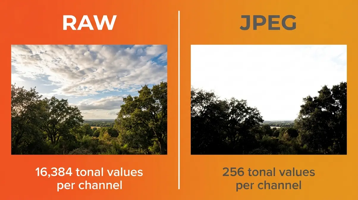 RAW versus JPEG side-by-side comparison showing highlight recovery and tonal range differences