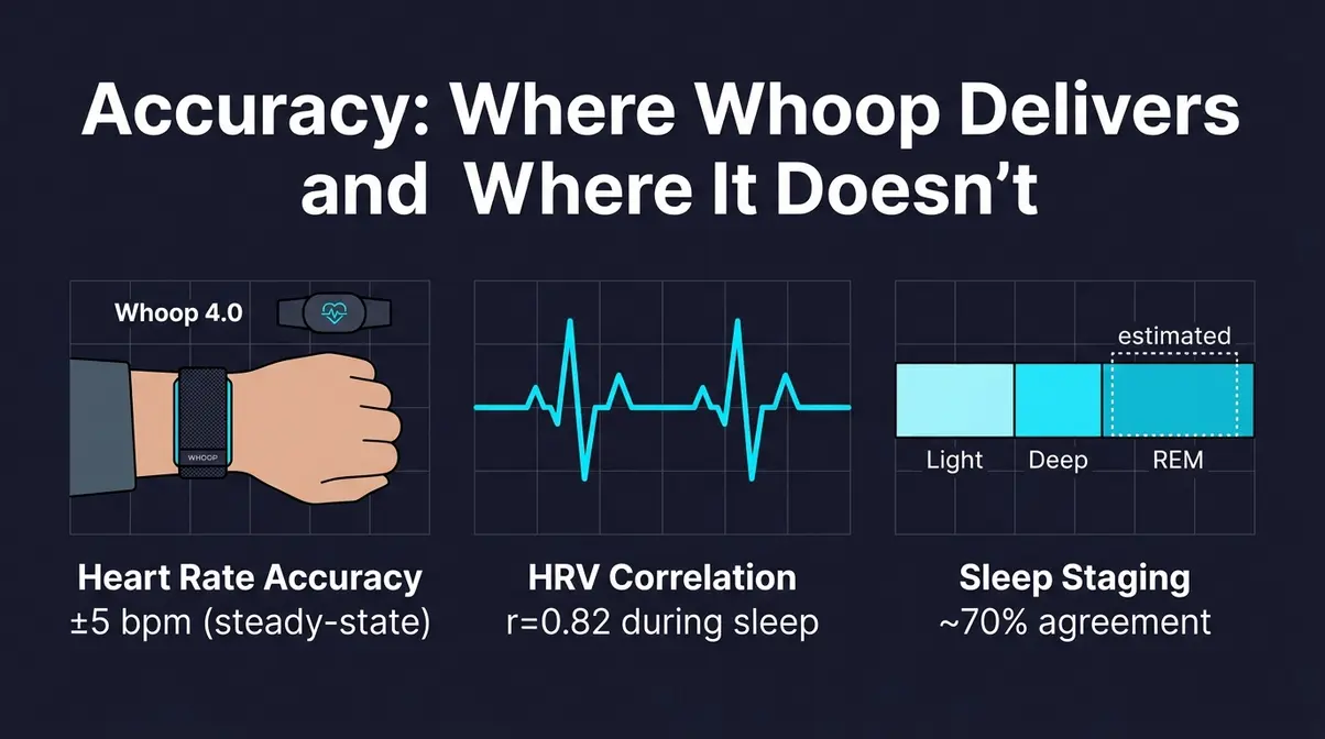 Whoop 4.0 accuracy overview showing heart rate HRV and sleep tracking data results from testing