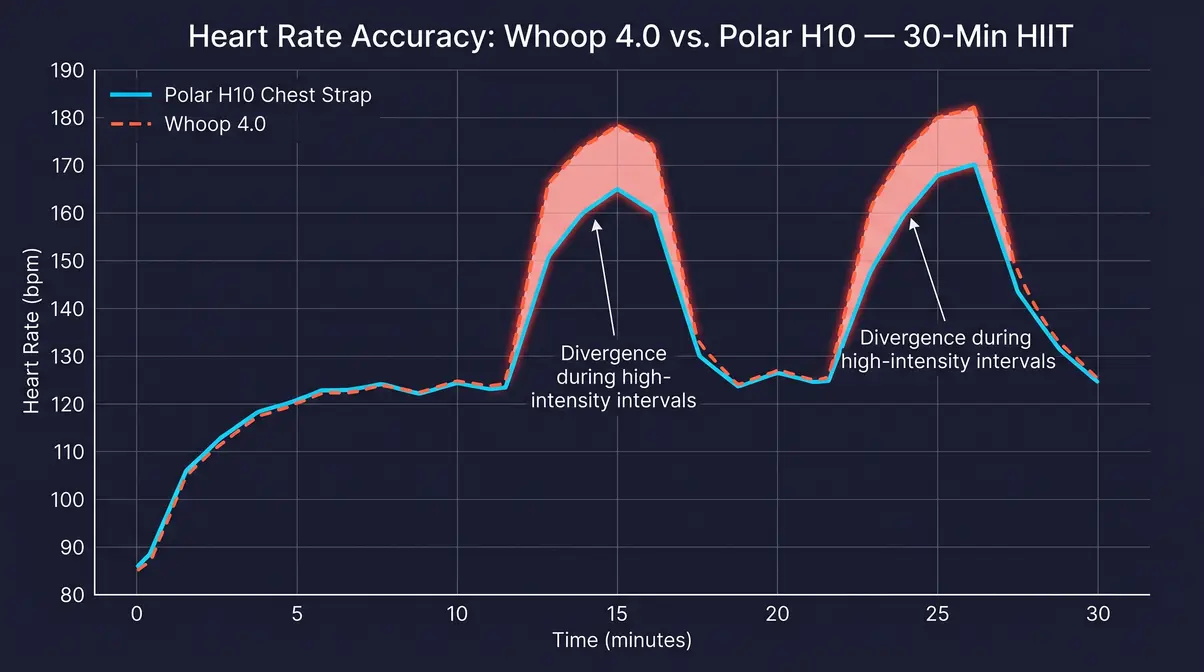 Whoop 4.0 heart rate accuracy comparison vs Polar H10 chest strap showing divergence during HIIT intervals